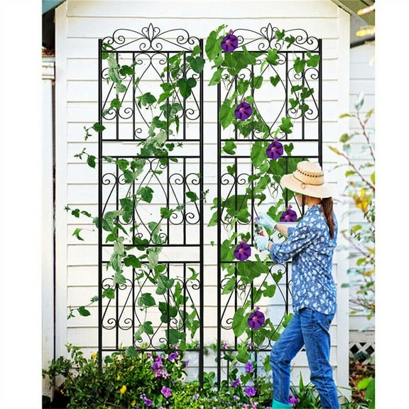 Wisfor Set of 2 Large Black Metal Garden Trellis Rose Grapes Plant Trellis Outdoor Screen,19.7x71.6 inch