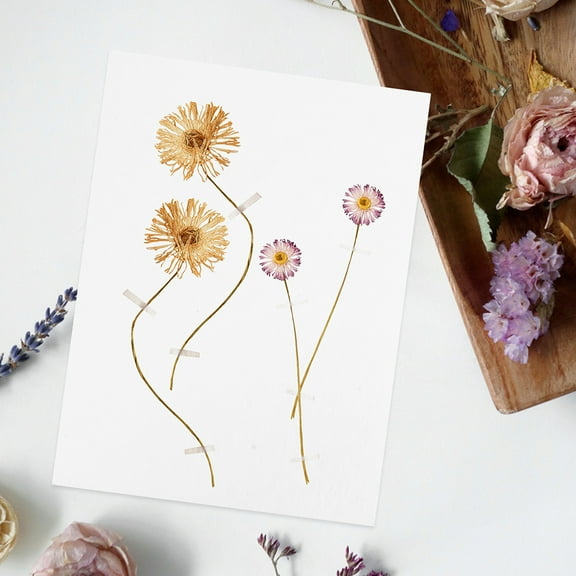 PTOOTP Flower Pressing Kit White 1 Set 5.50x5.50in