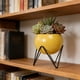 thumbnail image 2 of Macetas decorativas de metal con soporte y orificios de drenaje. Soporte elevado de hierro para macetas, ideal para sala de estar, oficina, jardín o balcón. Para uso interior y exterior., 2 of 6
