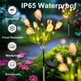 thumbnail image 3 of Rirool Solar Garden Lights Outdoor, 2 Pack Solar Tulip Lights with 14 Flowers, IP65 Waterproof LED Stake Light for Yard, Pathway, Patio, Landscape (Lavender), 3 of 8