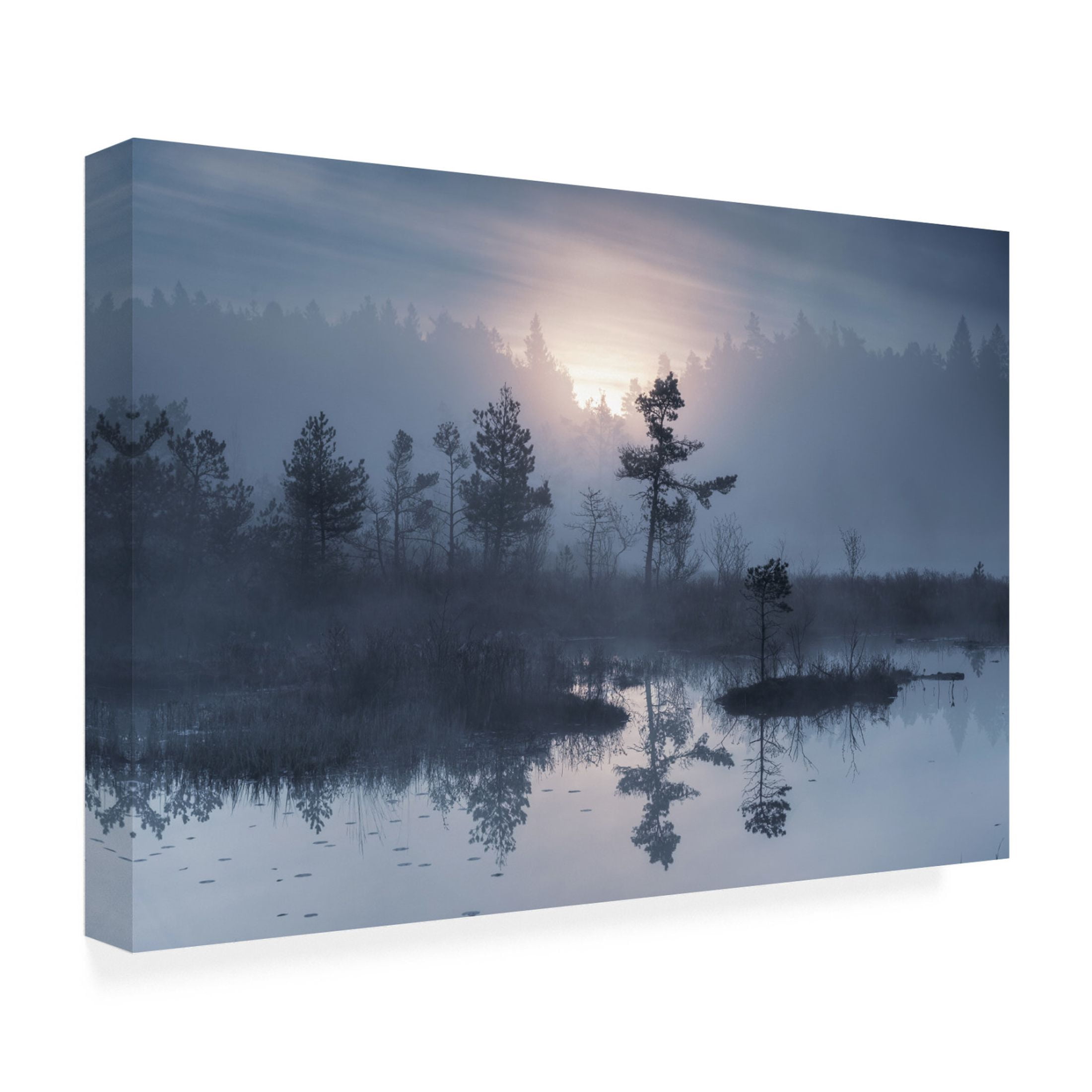 Trademark Fine Art Benny Pettersson  When the sun wakes up Canvas Wall Art