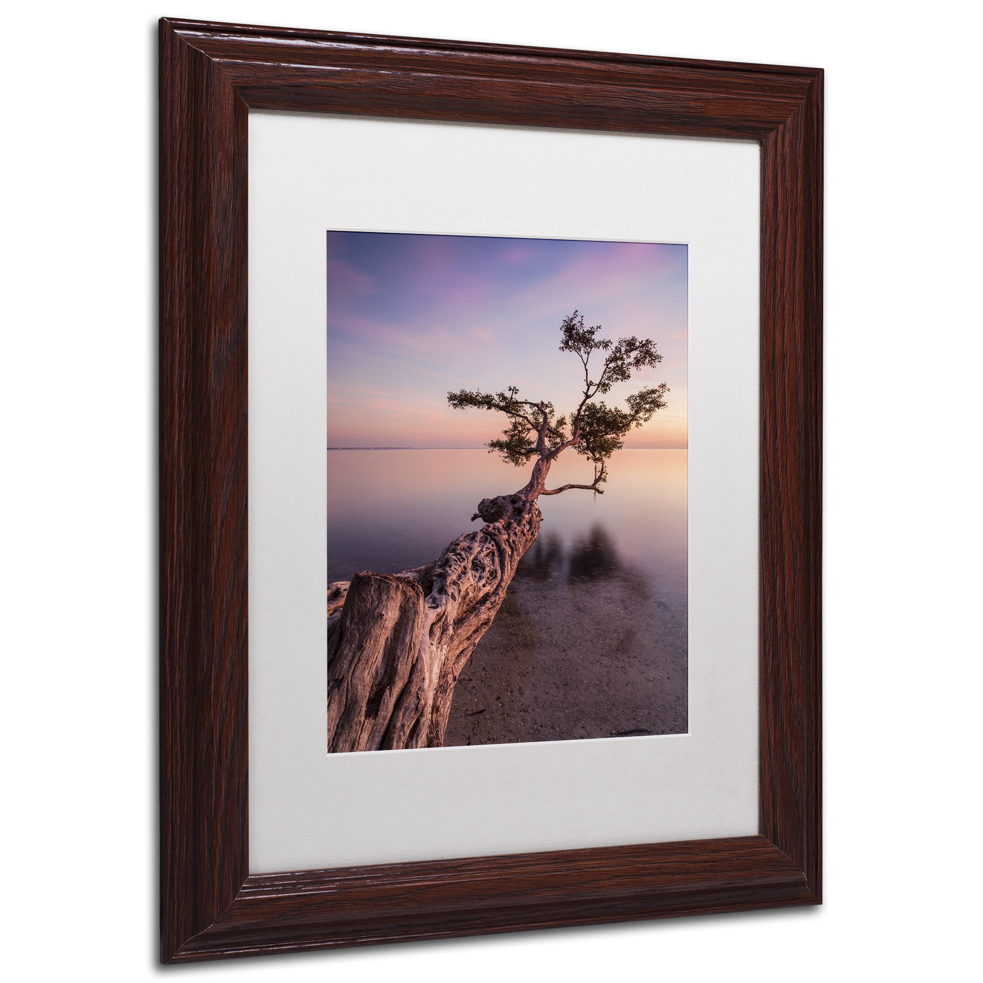 Moises Levy 'Water Tree IV' Matted Framed Art