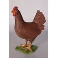 thumbnail image 3 of Red Chicken Life Size Statue, 3 of 8