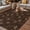 Brown, variant on Brown Floral Outdoor Rug for Patio/Deck/Porch, Non-Slip Large Area Rug 6 x 9 Ft, Vintage Spring Botanical Flowers Indoor Outdoor Rugs Washable Area Rugs, Reversible Camping Rug Carpet Runner