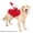 XL, variant on Santa Pet Costume, Funny Cute Holiday Dress Up Clothes for Dogs Cats, Christmas Pet Outfit