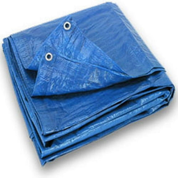 CWC Regular-Duty Tarp - 20' x 20', Blue (Pack of 4 tarps)