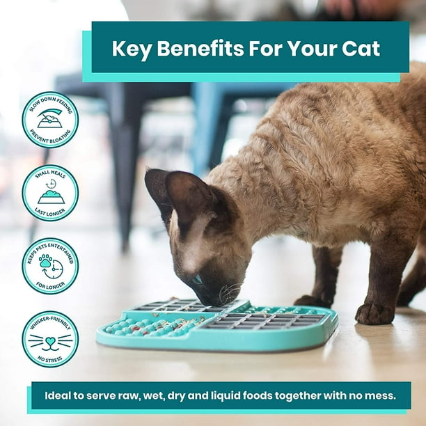 Cat puzzle top feeder wet food