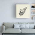 thumbnail image 3 of Emma Caroline 'Seashell Pencil Sketch I' Canvas Art, 3 of 3