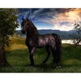 thumbnail image 2 of CafePress - Freisian Horse Throw Blanket - Soft Fleece Throw Blanket, 50"x60" for All Ages, 2 of 2