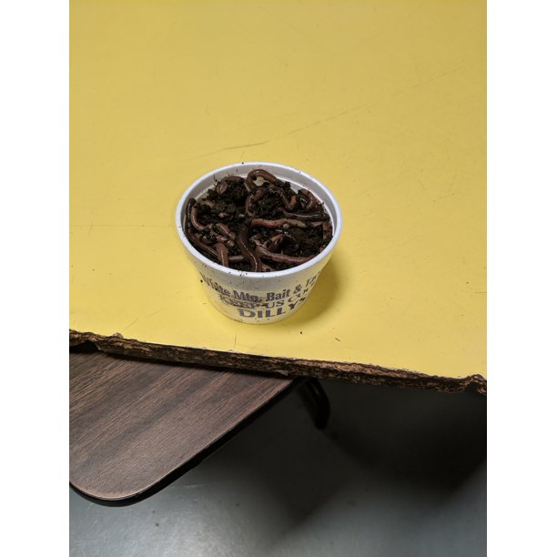 White Mountain Bait Dillys Fishing Worms Trout Worms Panfish Worms Walmart Com Walmart Com