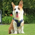 thumbnail image 4 of Reflective Breathable Dog Harness and Leash Set for Outdoor Puppy Pet Supplies Easy Wear Comfort, 4 of 7