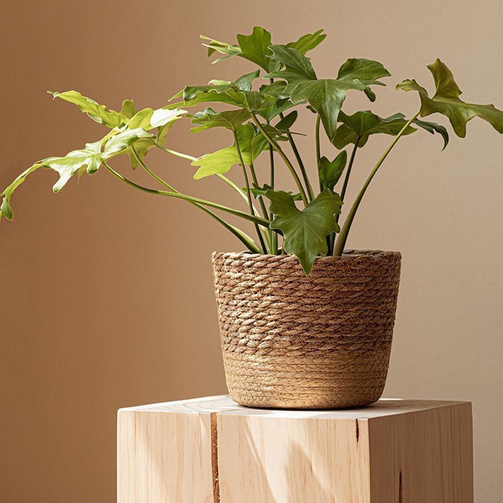 ZLBDYG Woven Rice Straw Flower Pot Basket with Garden Container Design, Wicker Rattan Vase and Sundries Organizer for Indoor Outdoor Plant Display with Natural Layered Construction