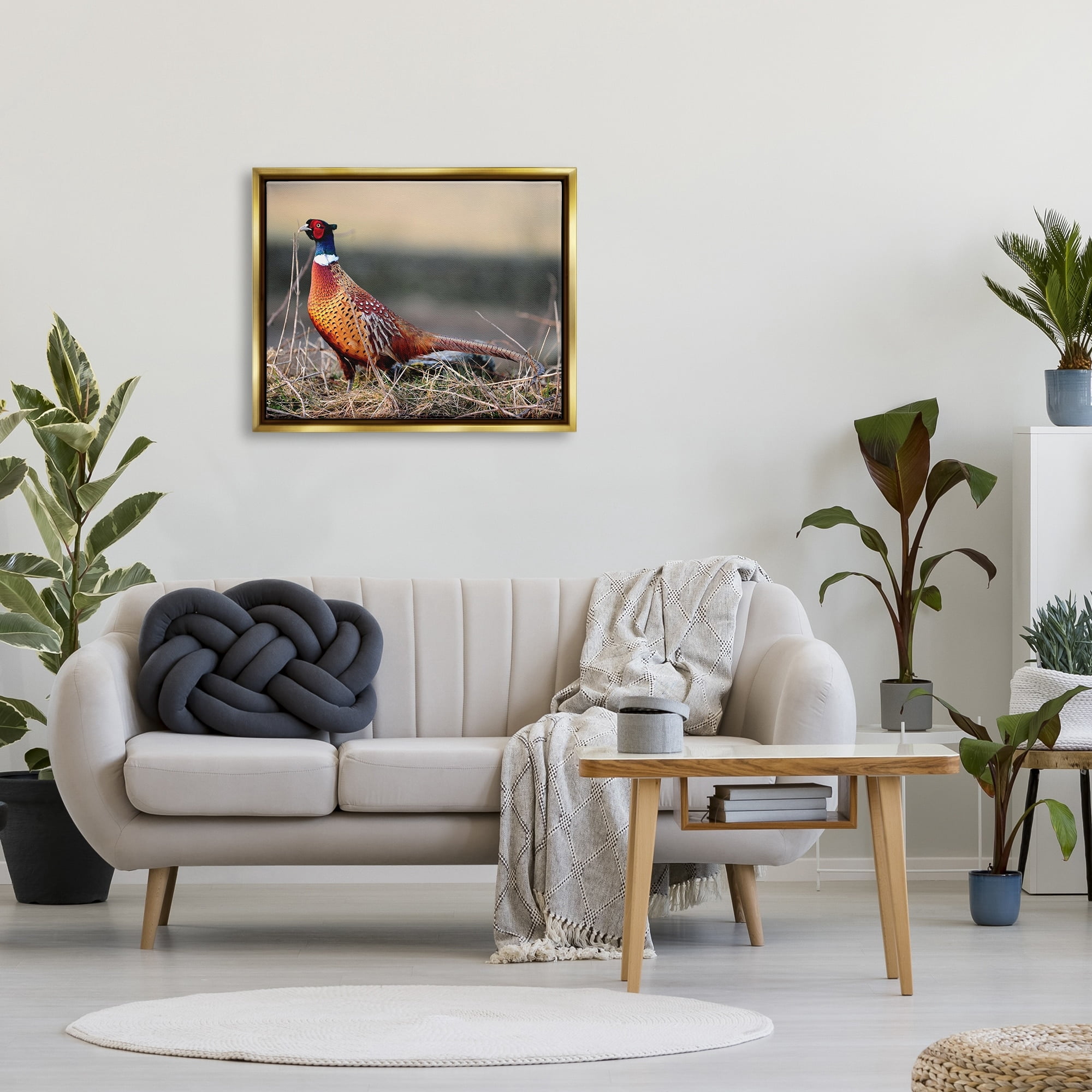 Stupell Industries Lone Pheasant Bird Grassy Forest Floor Wildlife Photograph Metallic Gold Floating Framed Canvas Print Wall Art, Design by James Dobson