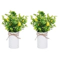 thumbnail image 1 of Ounissouiy 2 piezas de centros de de limón artificiales ecológicos elegantes centros de de limón falso de bajo mantenimiento Limón Type3 NO3, 1 of 6