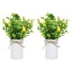 thumbnail image 1 of Bewildely 2 piezas de ramas de limón artificiales, fácil de limpiar, amplia aplicación para cualquier espacio, bajo mantenimiento, elegante Type3 NO3, 1 of 6