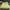 Light Green, variant on Quinlirra Velvet Bed Sheet Sets, Queen - Soft and Wrinkle Free