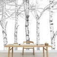 thumbnail image 3 of wall26 - Black and White Outline of Aspen Trees - Wall Mural, Removable Sticker, Home Decor - 100x144 inches, 3 of 6