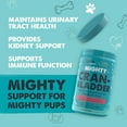 thumbnail image 3 of Mighty Paw Cranberry Dog Supplements, UTI Medication, Urinary Tract Health Support, 120 Chews, 3 of 10