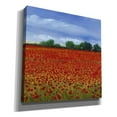 thumbnail image 2 of Epic Graffiti 'Field of Poppies II' by Tim O'Toole, Canvas Wall Art, 37"x37", 2 of 2