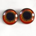 thumbnail image 3 of Red Parrot Sew-On Button Glass Eyes, 3 of 8