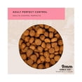 thumbnail image 4 of Alimento para perro Grand Pet Back 2 Nature Adulto todas las razas, control perfecto 2kg, 4 of 4