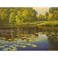 thumbnail image 3 of Adamov, Alexey 18x15 Black Modern Framed Museum Art Print Titled - Water Lilies on the River II, 3 of 5