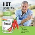 thumbnail image 4 of Solaray Cayenne Pepper 515 mg | 40,000 Heat Unit | Healthy Digestion, Circulation, Metabolism & Cardiovascular Support | Non-GMO | 180 VegCaps, 4 of 7