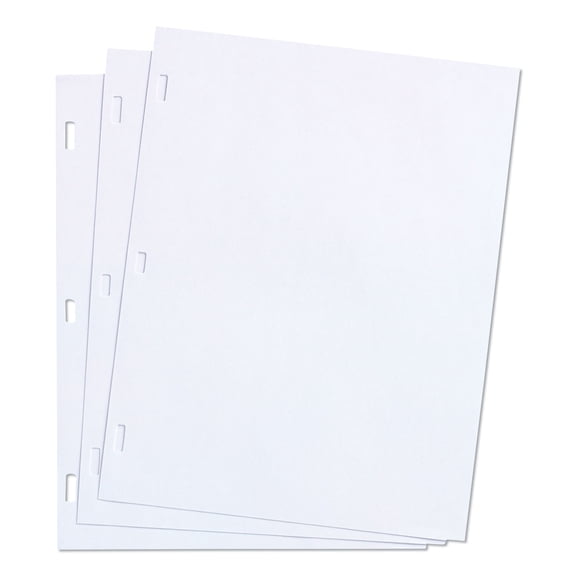 Ledger Sheets For Corporation And Minute Book, 11 X 8.5, White, Loose Sheet, 100/box | Bundle of 2 Boxes