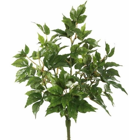 Green With Ivy - Vickerman 20