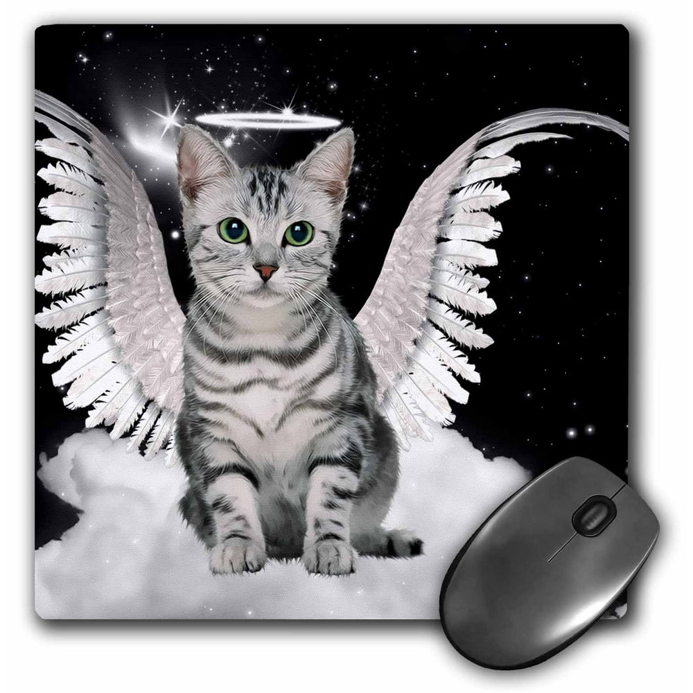 cloud cats blind box