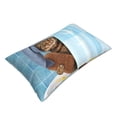 thumbnail image 3 of Balery Funny Cat Taking a Bath Bedding Queen Pillow Cases - Envelope Closure - Soft Brushed Microfiber Fabric - Shrinkage and Fade Resistant Pillow Cases-16"x24", 3 of 9
