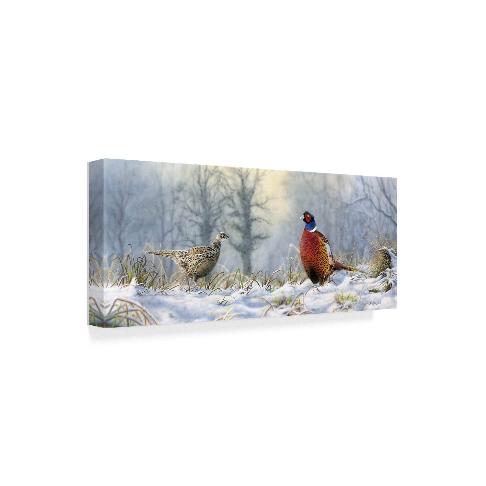Trademark Fine Art 'Pheasants' Canvas Art by Nigel Artingstall