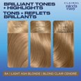 thumbnail image 2 of Coloration permanente Clairol Nice'n Easy, 2 of 9