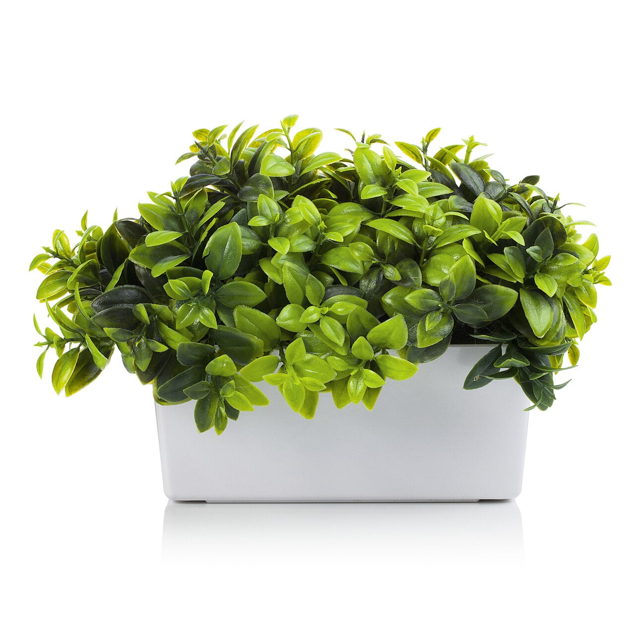 Enova Home Artificial Eucalyptus Plant in White Planter