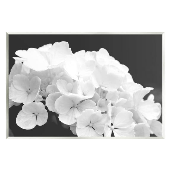 Delicate White Hydrangea Petals Botanical & Floral Photograph Unframed Art Print Wall Art