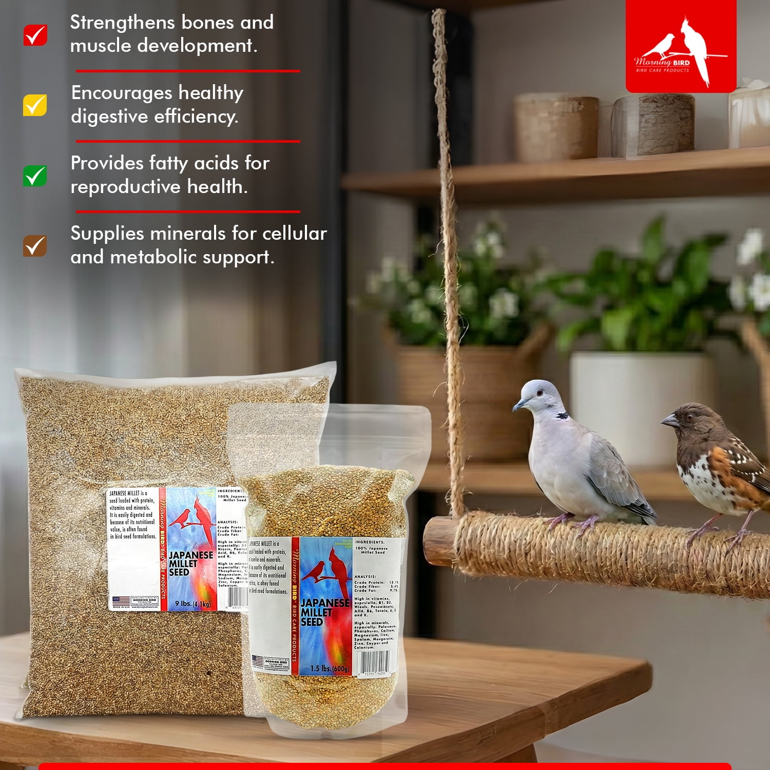 Morning Bird Japanese Millet Seed 4.5 lbs (3-Pack, 1.5 lbs Each) - Bird Food for Finches, Canaries & Parakeets – Natural Millet Seed for Daily Nutrition