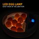 thumbnail image 3 of Incubadora de huevos 220VE, con probador de velas de huevo con 9 luces LED y dispositivo de control de temperatura Incubación de una tecla para conservación del calor e incubadora de huevos, 3 of 5