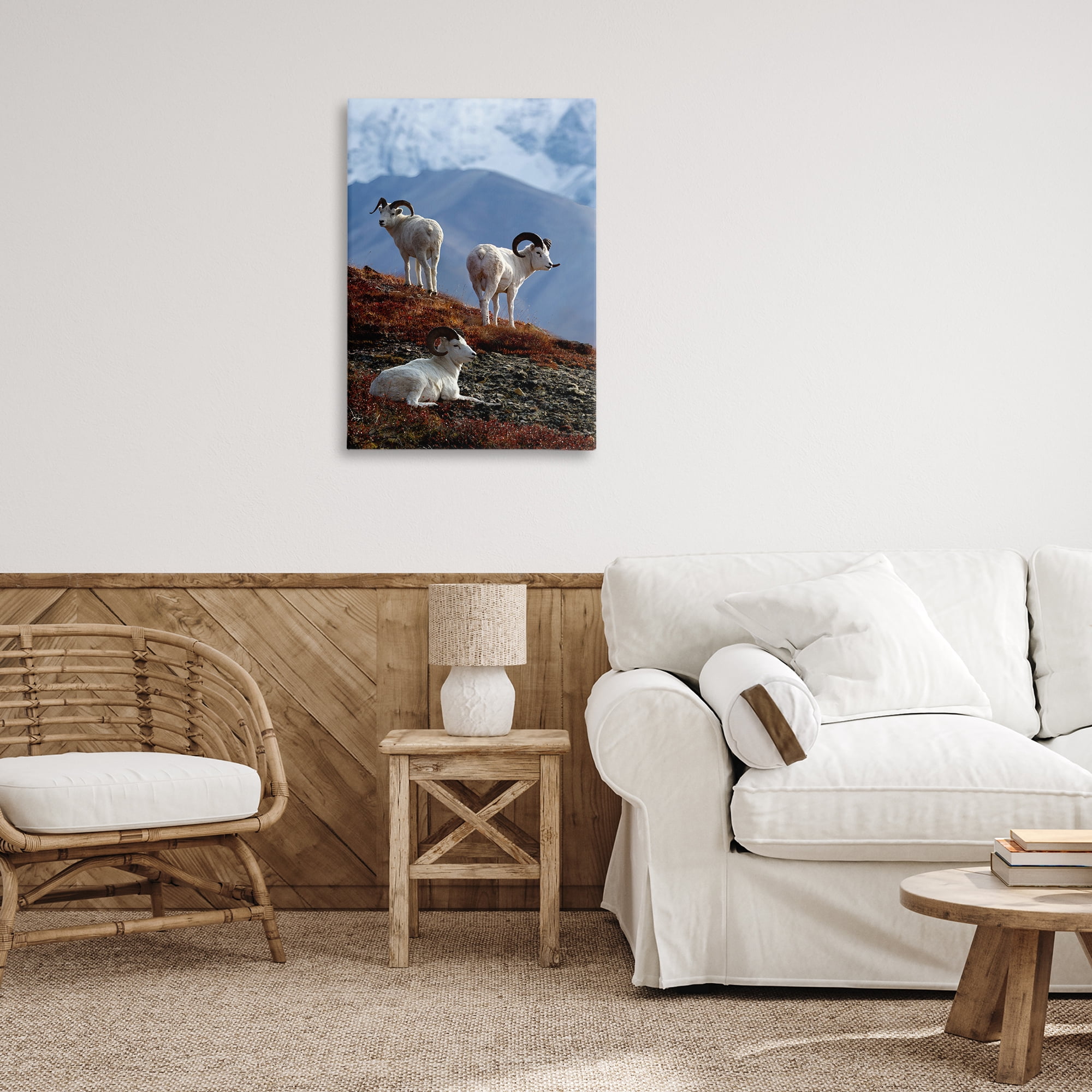 Stupell Industries Dall Sheep on Cliff Landscape & Nature Photography Wrapped Canvas Art Print Wall Art, 20 x 30