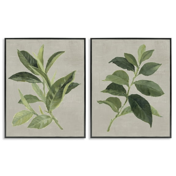 Stupell Industries Green Tea & Coffee Plant Leaves Floral Painting Black Framed Art Print Wall Art, 11 x 14, Set of 2