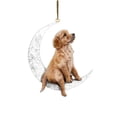 thumbnail image 2 of Oliegs Heated Blanket Car Interior Rearview Pet Dog Flat Pendant Pendant Gift Chocolate, 2 of 3