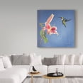 thumbnail image 3 of Trademark Fine Art 'Hummingbird And Lily' Canvas Art by Rusty Frentner, 3 of 3