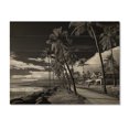 thumbnail image 3 of Designart "Black Beauty Maui s Stunning Cityscape I" Cityscapes Print on Natural Pine Wood, 3 of 5