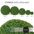 thumbnail image 5 of 3rd Street Inn Cypress Topiary Ball Extra Large 1 Pack - Cypress, 5 of 5