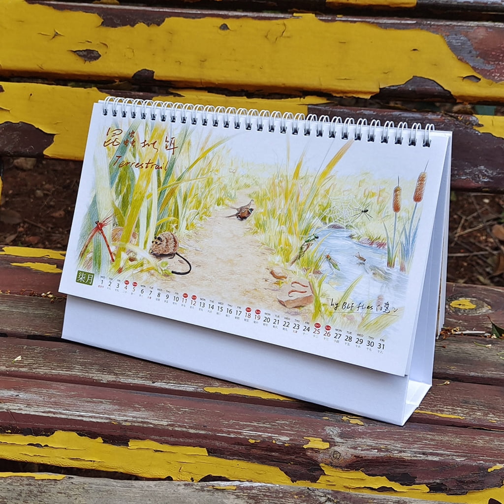 Artistic Diverse Insect Baits Types Print 2026 Desk Calendar Annual 12 Month Organizers For Fly Fishing Creativity
