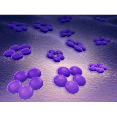 Kamisco T Cell Receptors Medicine