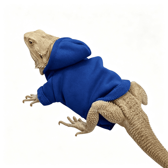 GASTROPOD Lizards Clothes for Bearded Dragon-Handmade Cotton Hoodies Warm Sweater Coat Reptiles Apparel Costume Skin Protection Photo for Lizard Bearded Dragon Crested Gecko Chameleon (Blue,Large)