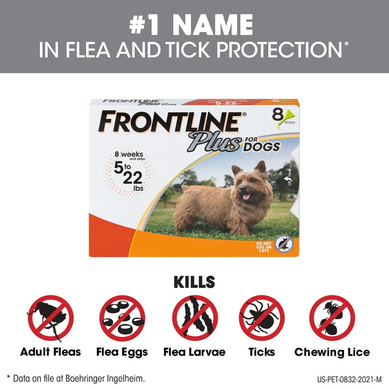 Frontline for puppies walmart sales