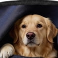 thumbnail image 6 of Treat Pouches for Pet Training, Portable Puppy Feed Snack Container, Dog Treat Bags Training Pouch for Walking Camping Road Trip Outdoor Activities Travel Beach, 6 of 9