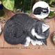 thumbnail image 5 of Estatua de jardín, escultura de chat, figura de resina, figura de resina decorativa para interiores. Negro, 5 of 7