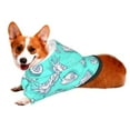 thumbnail image 2 of Bingfone Seashell And Starfish Dog Clothes Hoodie, Pet Winter Coat,Puppy Sweatshirts For Small Dogs Boy Girl,Suitable For All Breeds-X-Large, 2 of 9